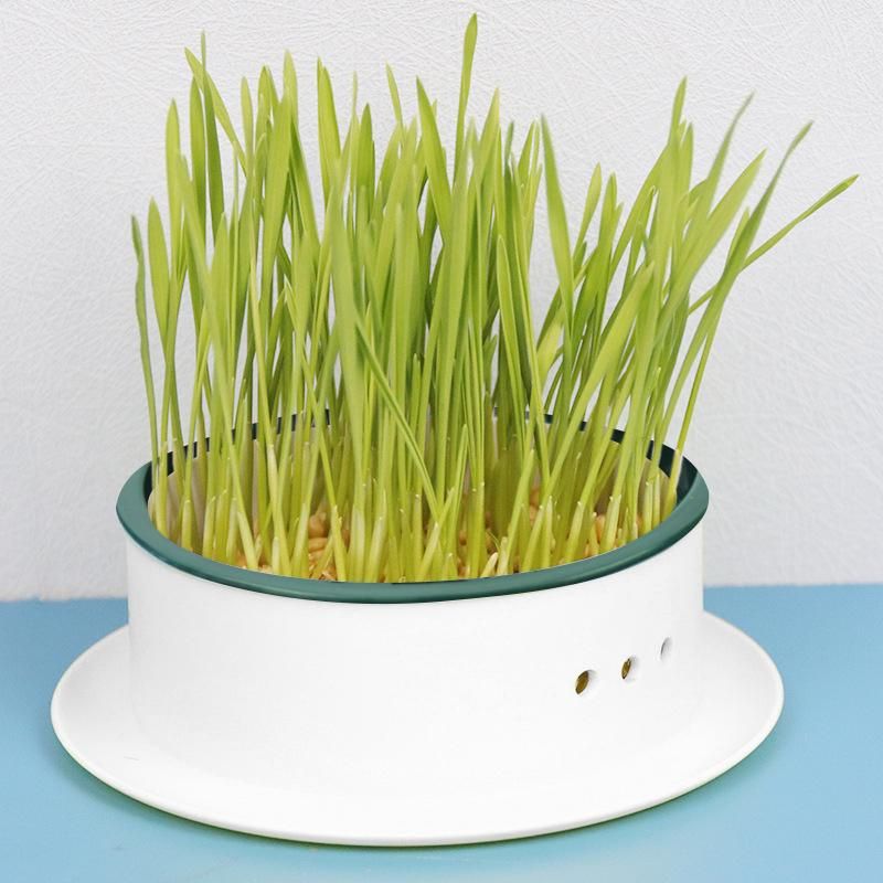 Seed  Tray Nursery Tray Gray Base Green Net