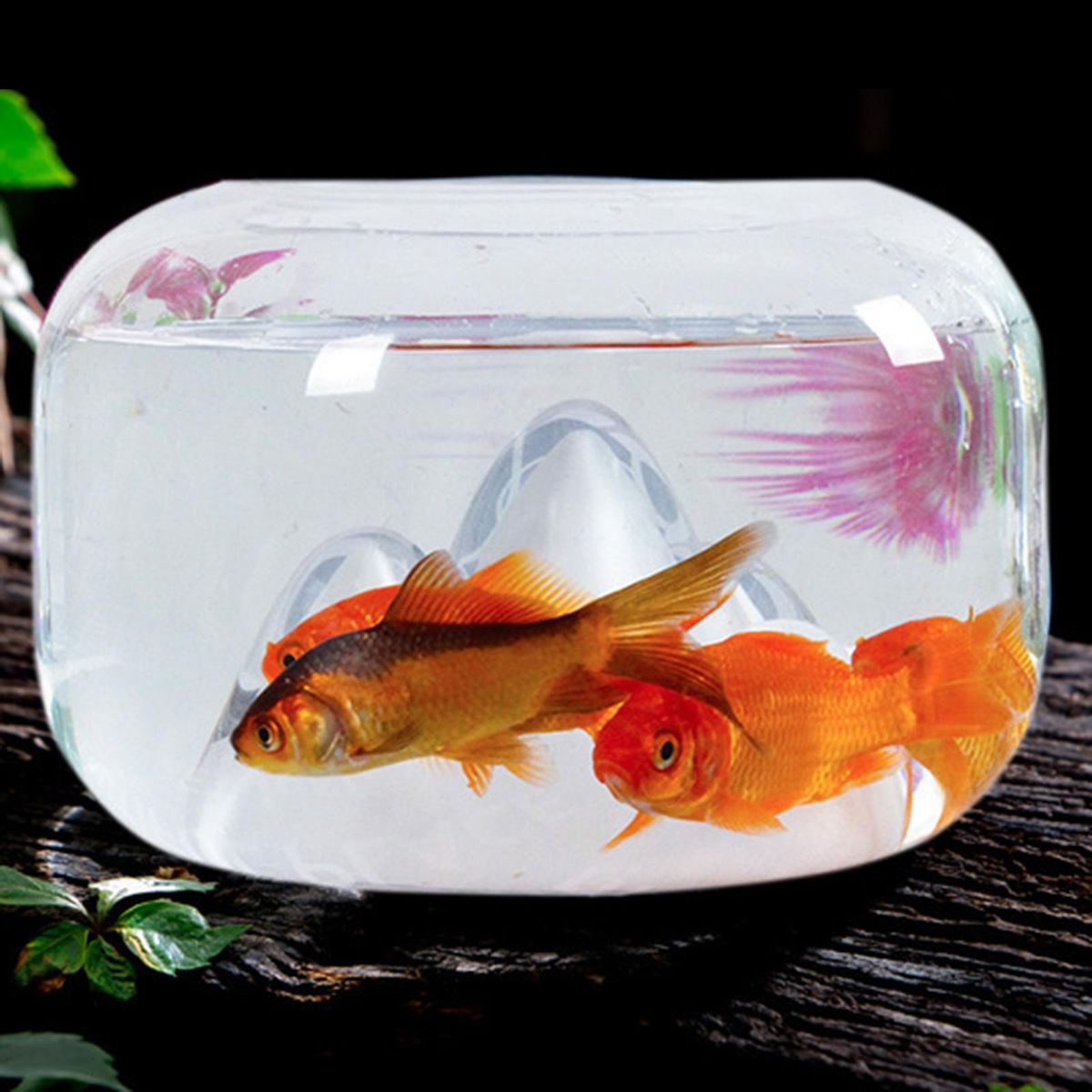 Snow Mountain Owl Clear Glass Aquarium Tank, Portable For