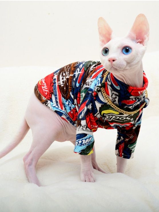 Trend Of Printing Cat Clothes Devon Rex Spring Tide T-shirt Hairless-Bottle Cap