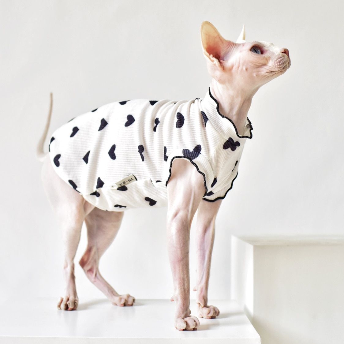 Sphynx Cat Clothes Cool Slippery  T-shirt Casual Hairless Cat-Black