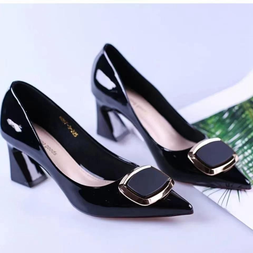 Ladies Pointed Thick Heel High Heel Shoes-Black