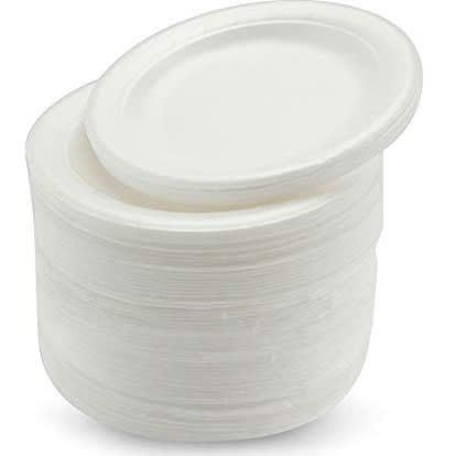 Disposable Plates - 25 Pieces