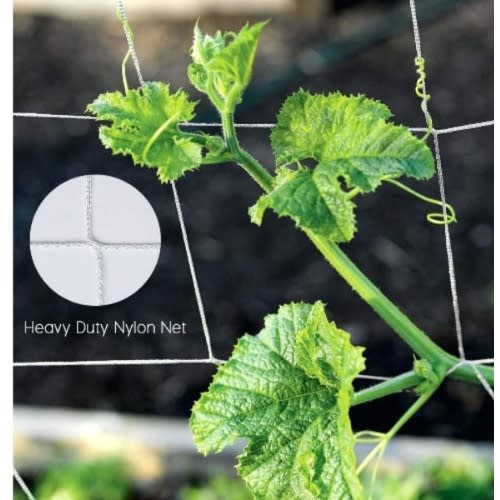 Staking Net For Cucumber Plants - 100m