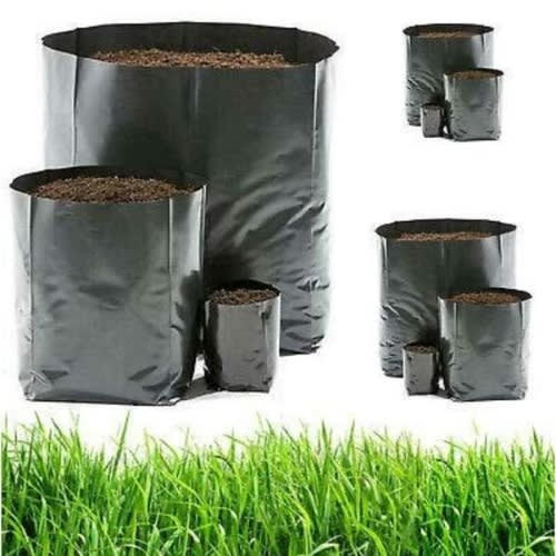 Grow Plant Nursery Bags (8x12 Inches) - 100 Pieces