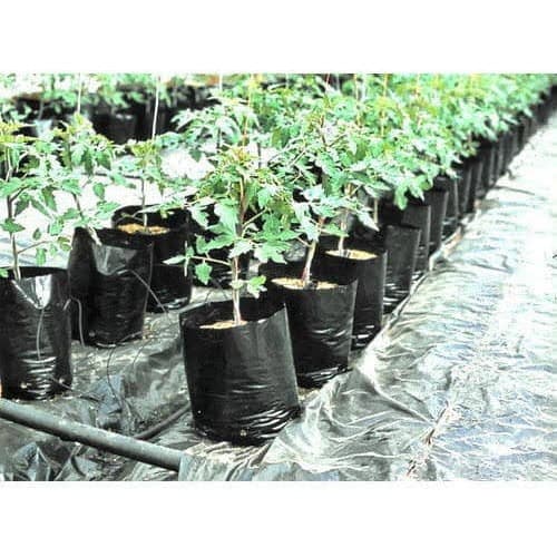 Grow Plant Nursery Bags - 10x12 Inches - 100 Pieces