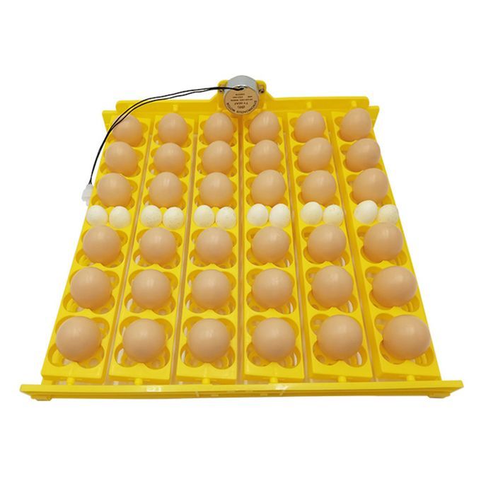 156 36 Eggs Egg Incubator Automatic Turner