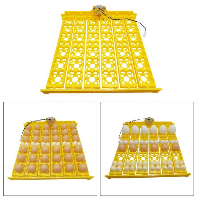 156 36 Eggs Egg Incubator Automatic Turner