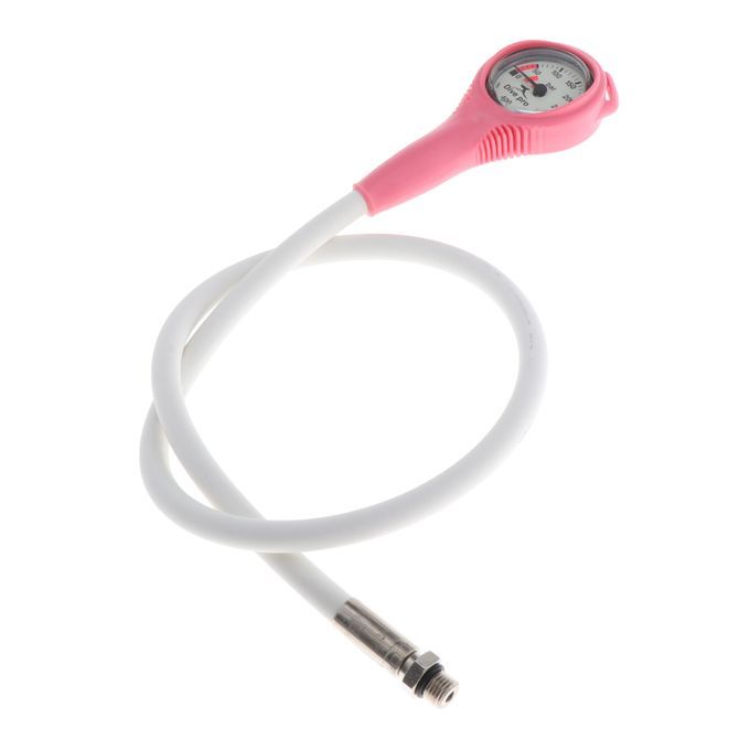 Submersible Pressure Gauge With  Pink GS-001-P