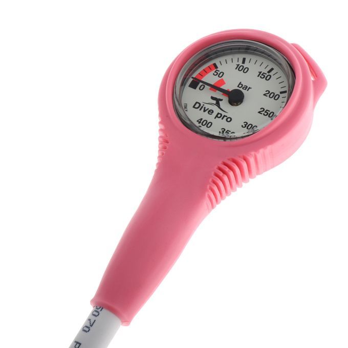 Submersible Pressure Gauge With  Pink GS-001-P