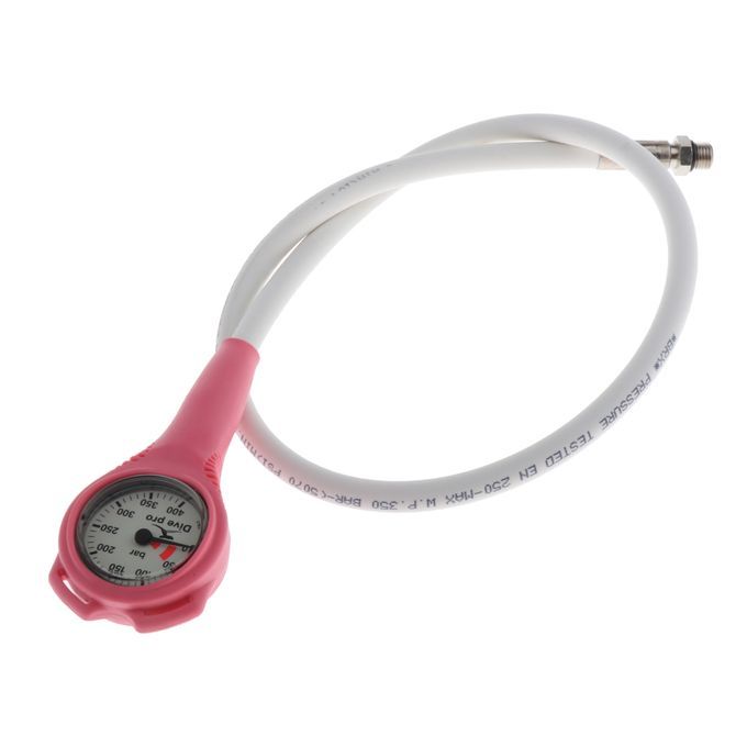 Submersible Pressure Gauge With  Pink GS-001-P