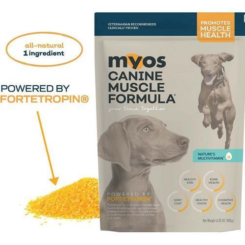 Dog Canine Muscle Building  Compare Gorilla Max 360 Grams
