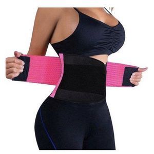 Hot Shaper Hot Body Shapper/Waist Trimmer/ Tommy Slimming Belt