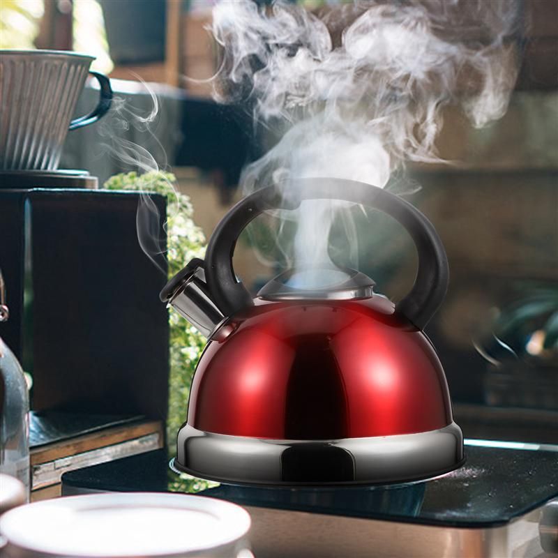3L Stainless Steel Water Kettle Electric Whistling