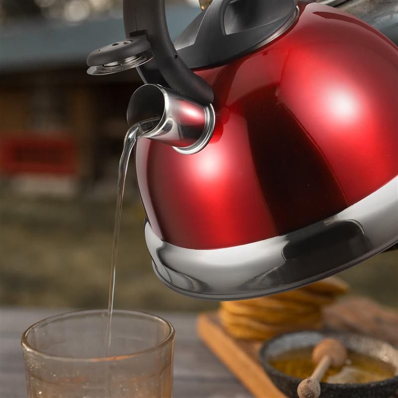 3L Stainless Steel Water Kettle Electric Whistling