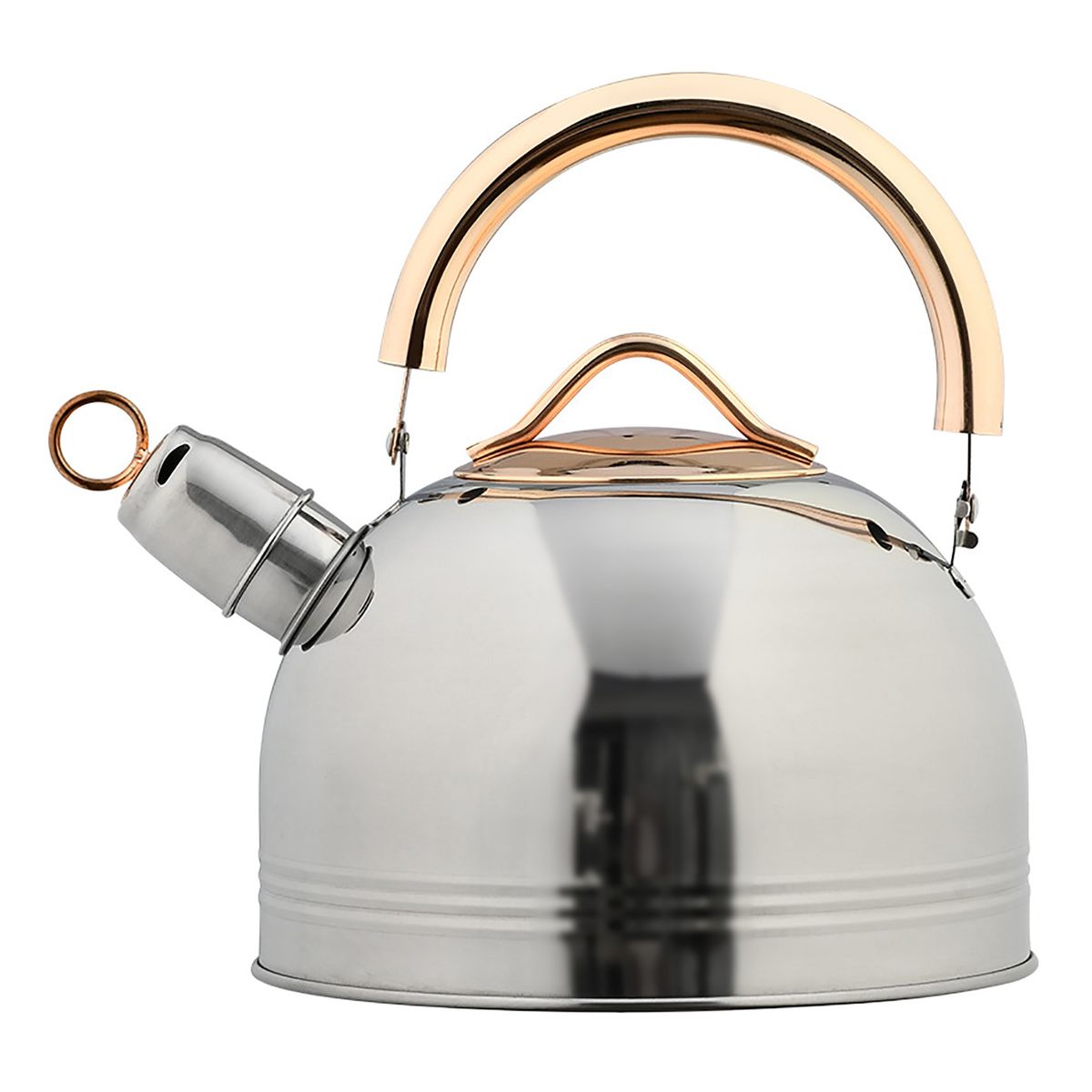 3L Tea Pot Whistling Kettle Stainless Steel Tea Kettle