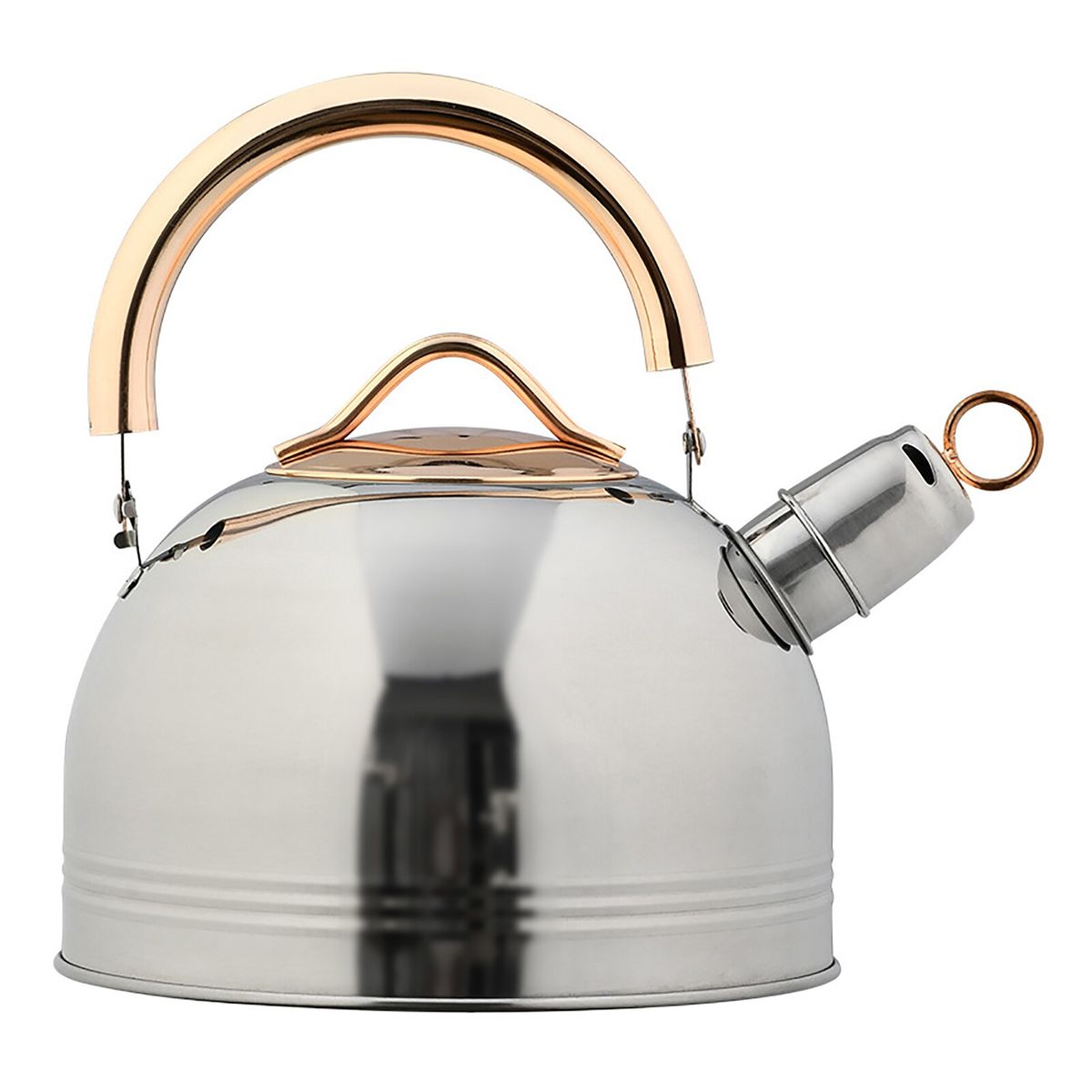 3L Tea Pot Whistling Kettle Stainless Steel Tea Kettle