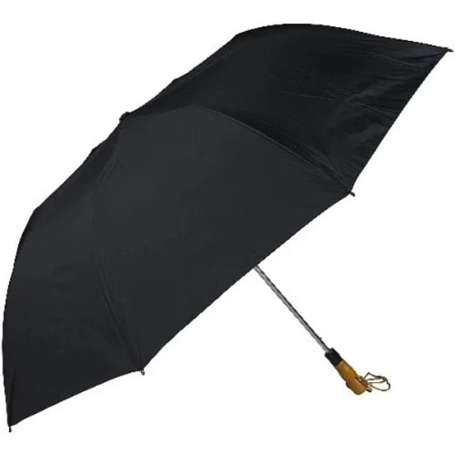Fordable  Umbrella