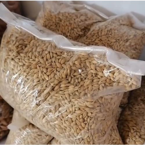 Barley Seed - 500g