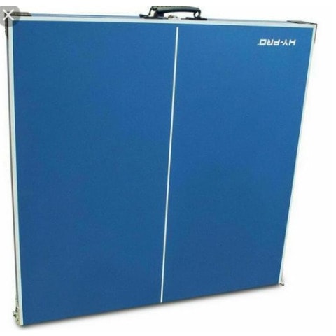 Portable Tennis Table