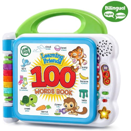 Learning Friends 100 Words Book