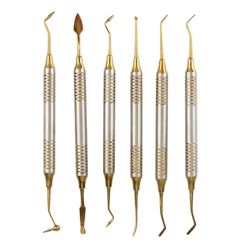 6Pcs Dental Instrument Composite Resin Filling Spatula Titanium-Plated Head Filling