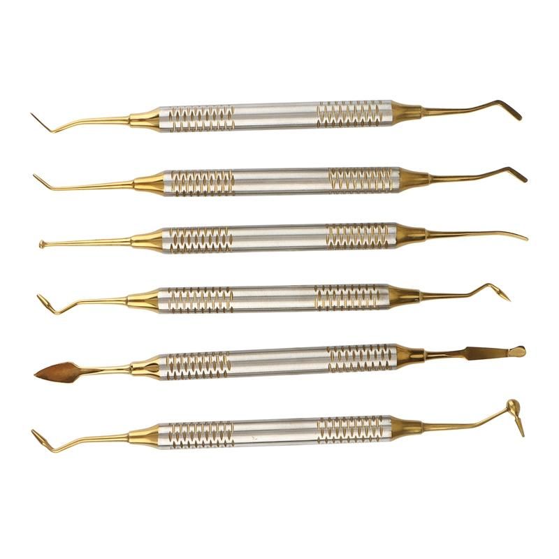 6Pcs Dental Instrument Composite Resin Filling Spatula Titanium-Plated Head Filling