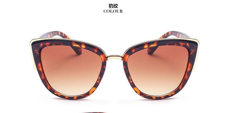 Ladies Cat Eye Leopard  Sunglasses .