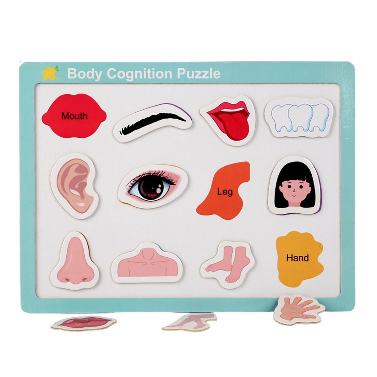 Early Education Puzzle Magnetic Spelling Jigsaw Toy