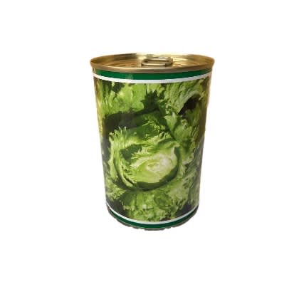 Hybrid Eden Lettuce Seeds Iceberg - 100g
