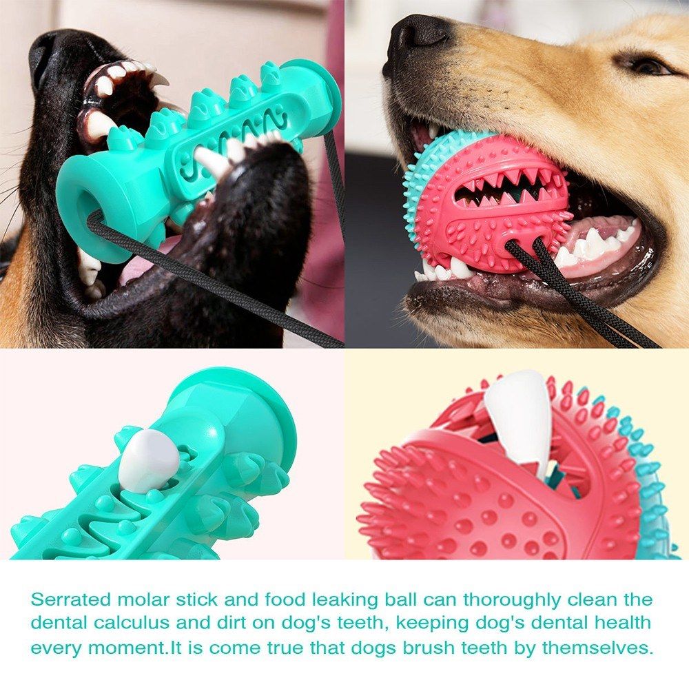 Dog Molar Bite Toy Dog Teeth Cleaning Toy Dog Chew Toys