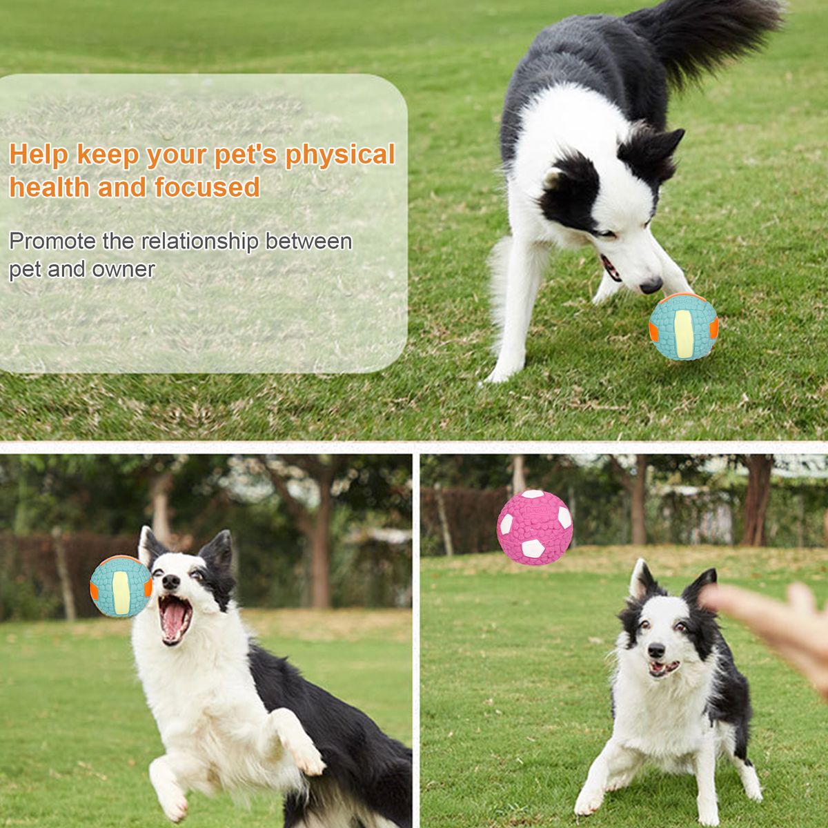 3PCS Dog Pet Ball Toy Dog Latex Toy Ball Pet Teeth Molar Dog