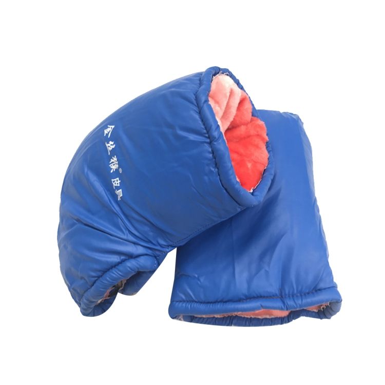 Winter Thickened Windproof And Waterproof Gloves