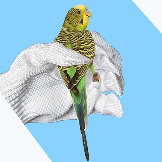 1 Pair Wear Resistant Anti-biting Foraging Bird Parrot Glove White