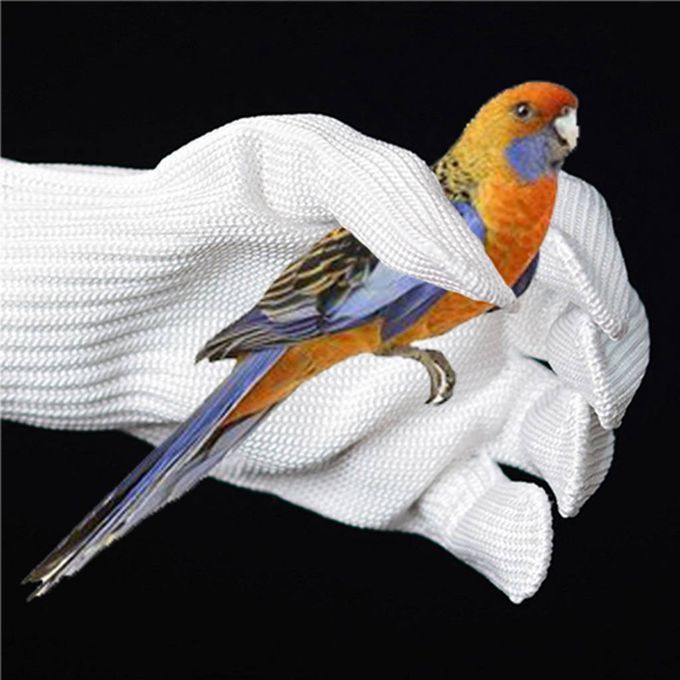 1 Pair Wear Resistant Anti-biting Foraging Bird Parrot Glove White