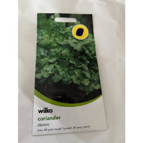 Coriander-cilantro-100 Seeds