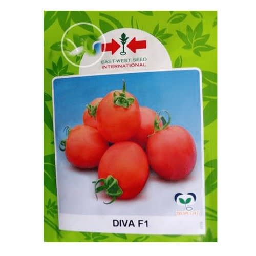 Hybrid Tomato Seeds (diva F1) - 5g