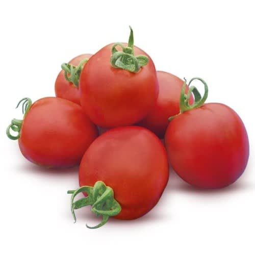 Hybrid Tomato Seeds (diva F1) - 5g