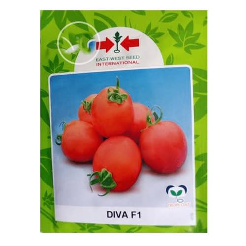 Hybrid Tomato Seeds (diva F1) - 5g
