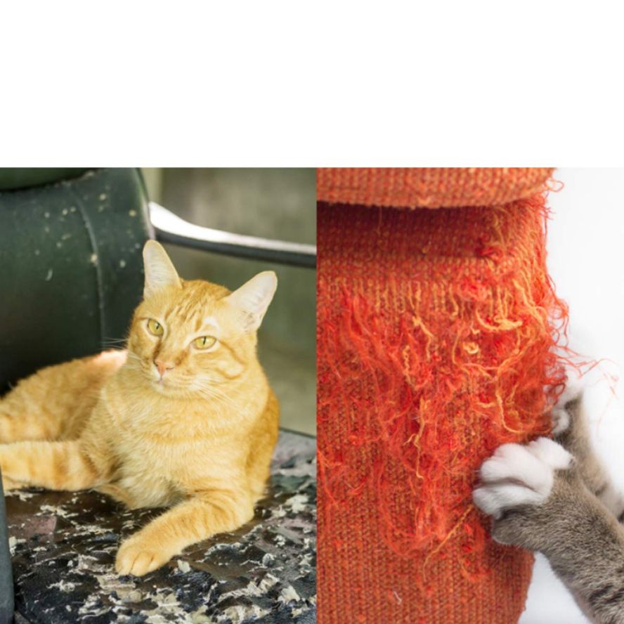 Cross-border Cat ScratchingGuard Cat Sofa Double-sided