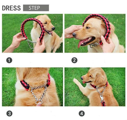 1.2M Length Double Strand Rope Large Dog Leashes Metal P Chain Buckle National Color Pet Traction Rope Collar Set For Big Dogs