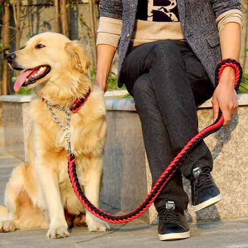 1.2M Length Double Strand Rope Large Dog Leashes Metal P Chain Buckle National Color Pet Traction Rope Collar Set For Big Dogs