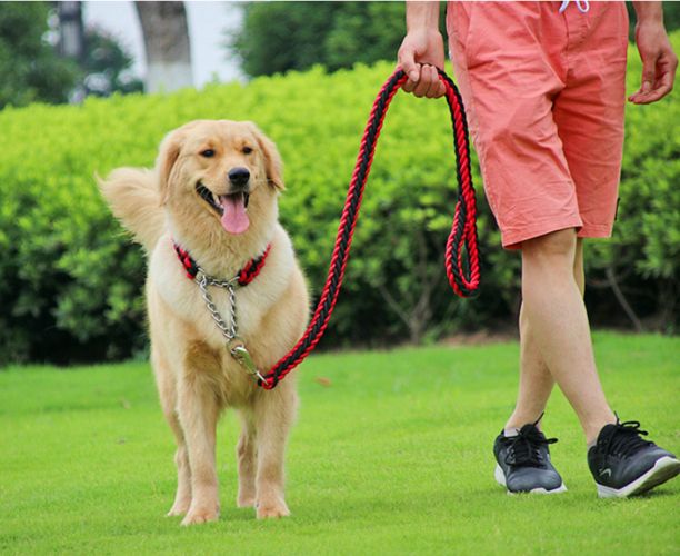 1.2M Length Double Strand Rope Large Dog Leashes Metal P Chain Buckle National Color Pet Traction Rope Collar Set For Big Dogs