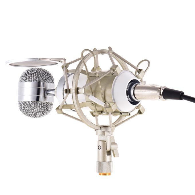 Recording Mic Uni-Directional Condenser Microphone Kit
