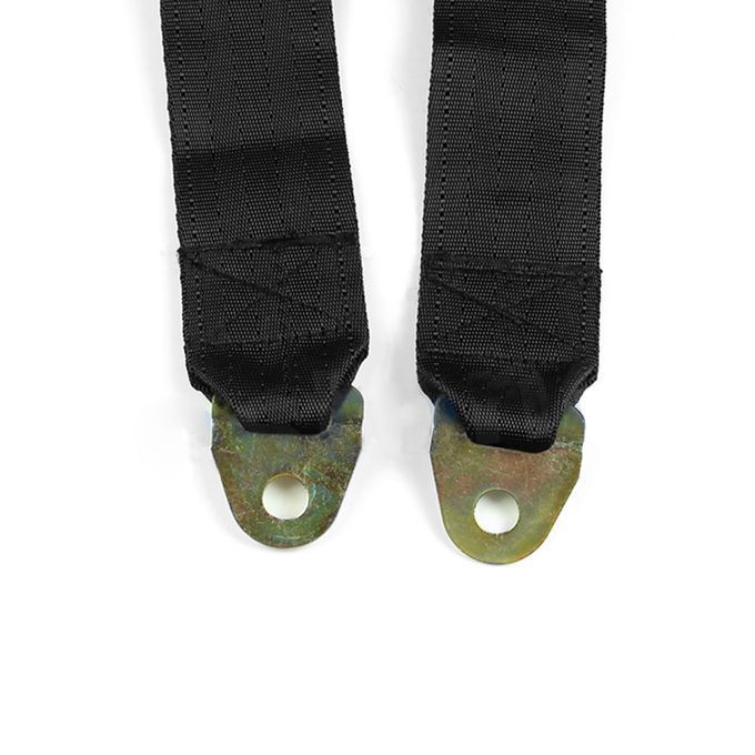 Universal Auto Car Truck 2 Point Adjustable Comfort Safety-