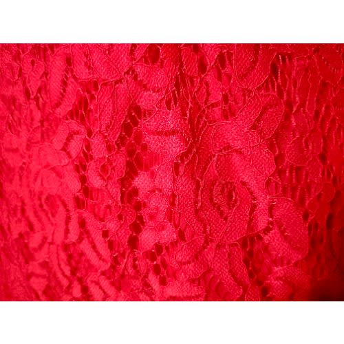 Ladies Net Design Dress - Red