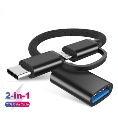 2 In 1 OTG Cable