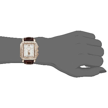 Women's Analog Display Japanese Quartz Brown Watch