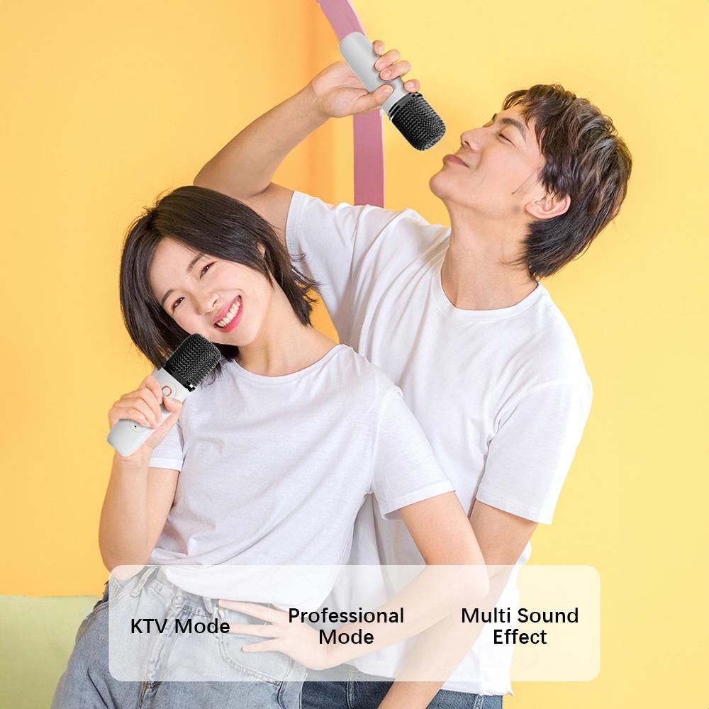 Portable Microphone & Sound Box Set Mini Karaoke Machine BT Speaker with 2 Microphones Home Outdoor Wireless Loudspeaker Rechargeable Voice Box & Handheld Mic Karaoke Mic Speaker BT5.3 Connection for Home Party KTV Singing