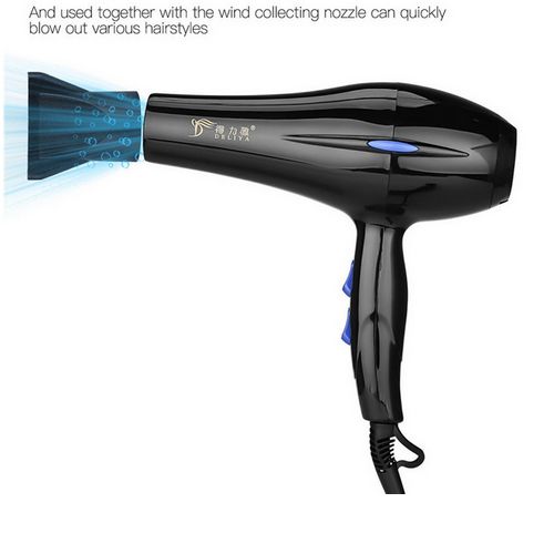 Salon Hair Dryer - Black/Blue