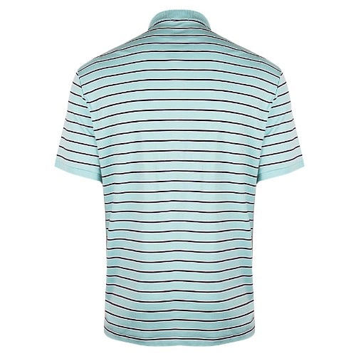 Men's Adirondack Stripe Polo Top - Mint